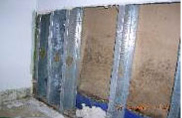 Mold Removal Fort Myers