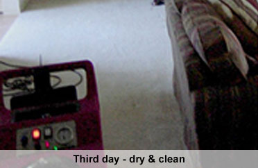 Water Damage Fort Myers